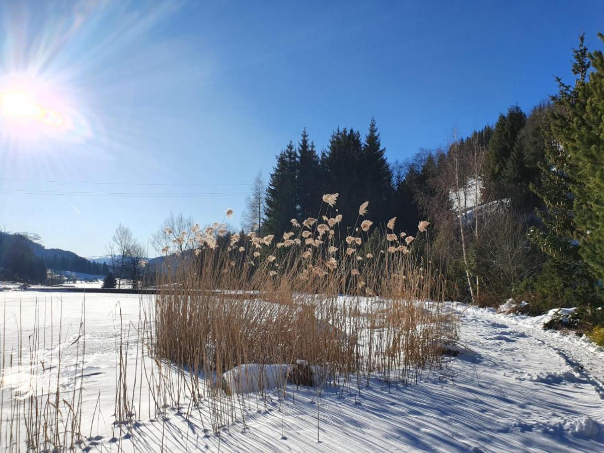 Grassegger Appartementhaus Sankt Johann am Tauern Екстериор снимка