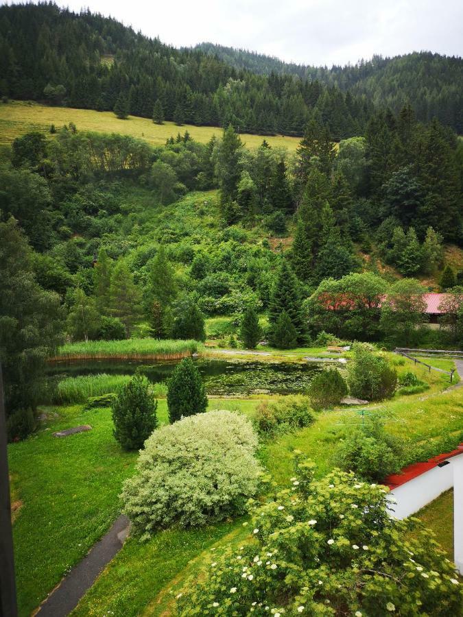 Grassegger Appartementhaus Sankt Johann am Tauern Екстериор снимка