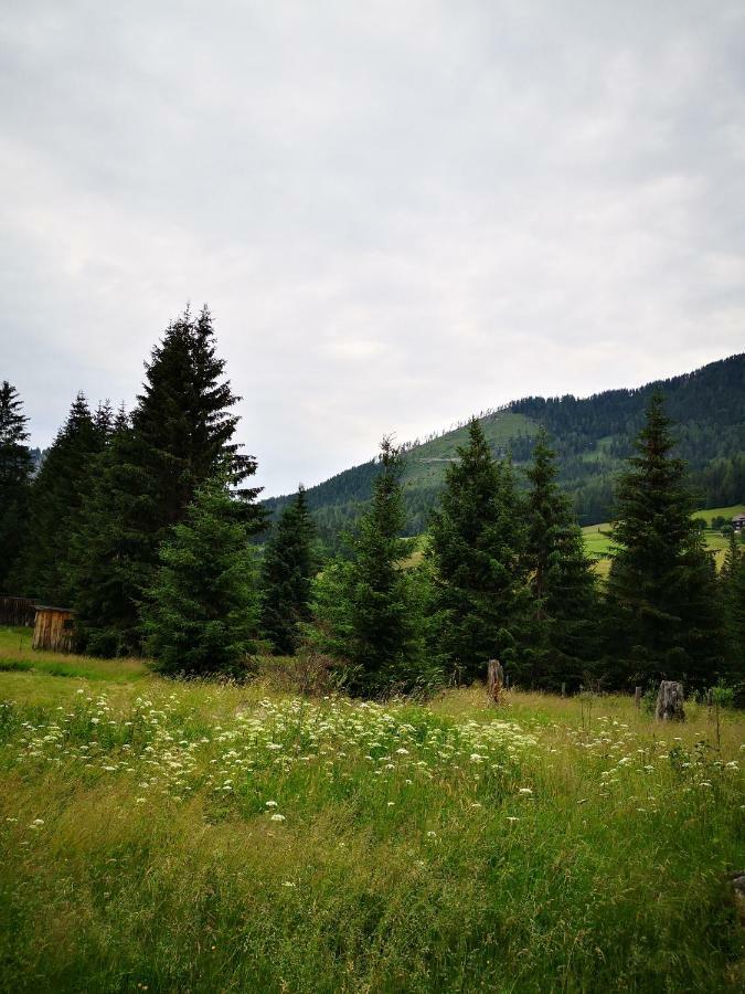 Grassegger Appartementhaus Sankt Johann am Tauern Екстериор снимка